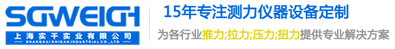 上海实干实业有限公司