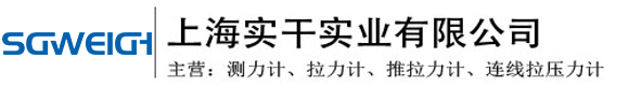 上海实干实业有限公司